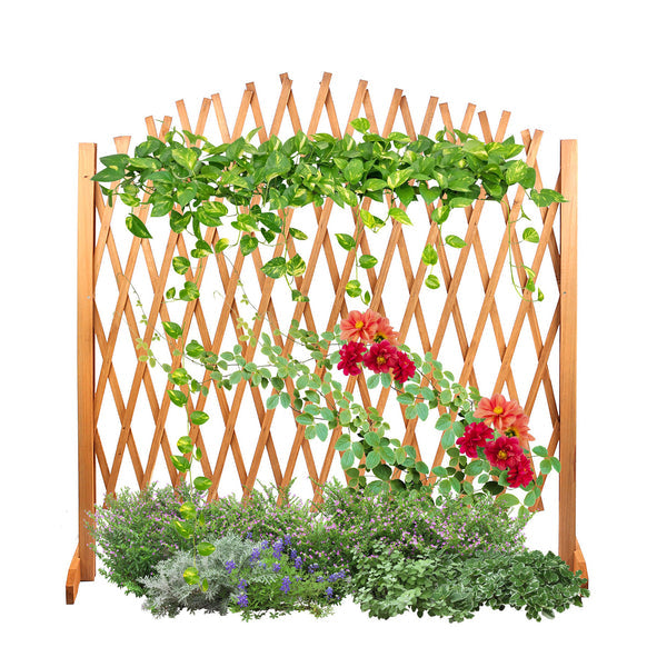 CasaFoyer Expandable Brown Wooden Fence Trellis - Enhance Your Garden with a Decorative Outdoor Lattice Design Screen for Climbing Plants